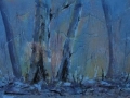 Misty Forest