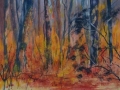 Flame Trees