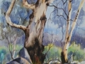 Jindabyne Giant