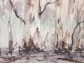 Misty Forest