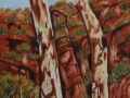 Outback tree