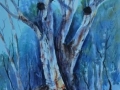 Sofala Sentinel.