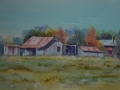 Freemans Reach Farmland