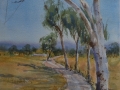 Richmond Farmland