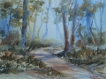 Misty Morning -Kurrajong Heights