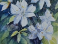 A Whiter shade of Pale