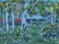 Birch Trees in the Garden