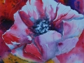 Pink Flower