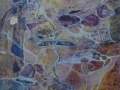 Terrafirma 2