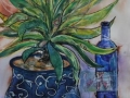 Agave in Blue Pot